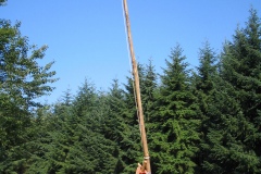 200707150937576539. 200707150937576539.