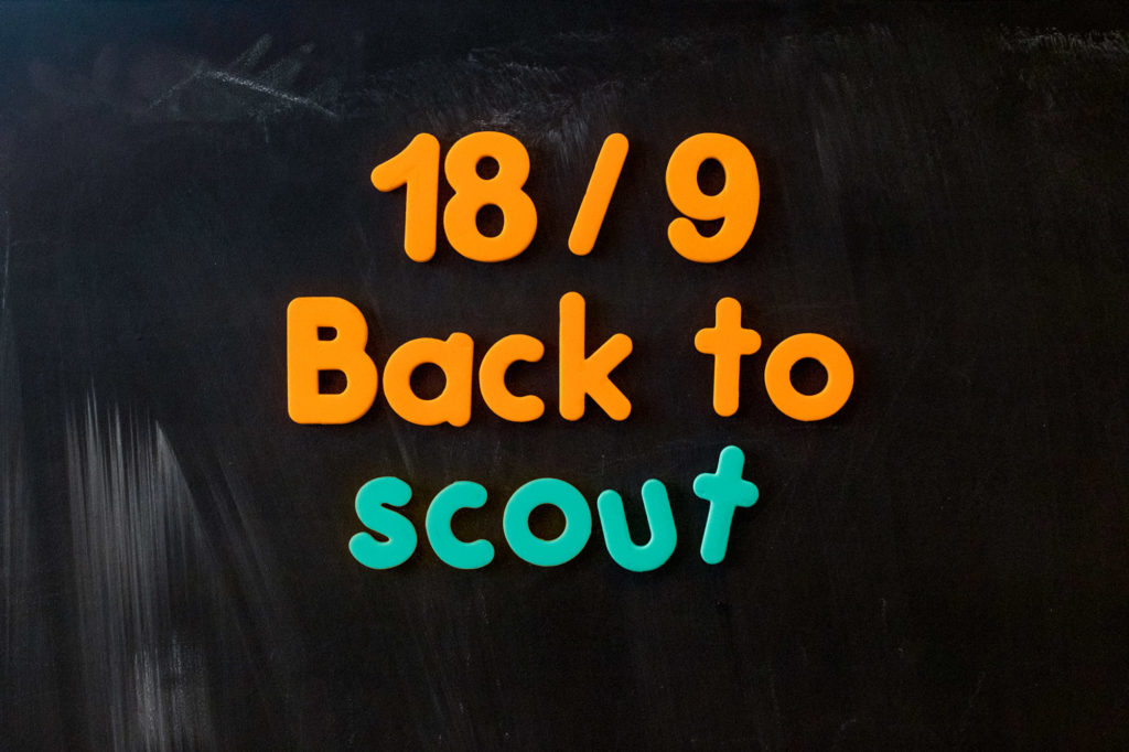 Back to scout 2021